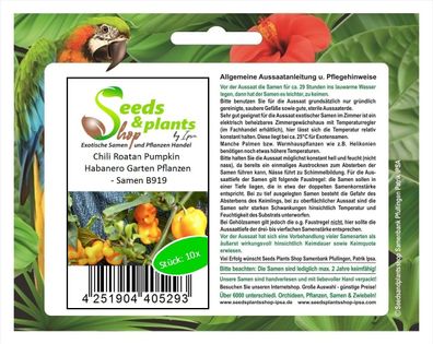 10x Chili Roatan Pumpkin Habanero Garten Pflanzen - Samen B919