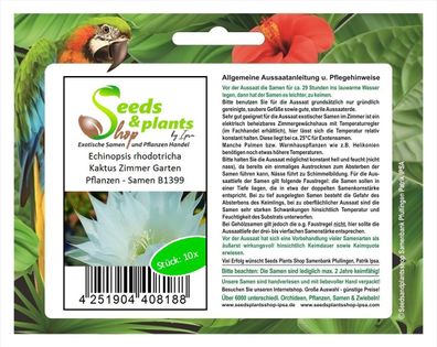 10x Echinopsis rhodotricha Kaktus Zimmer Garten Pflanzen - Samen B1399