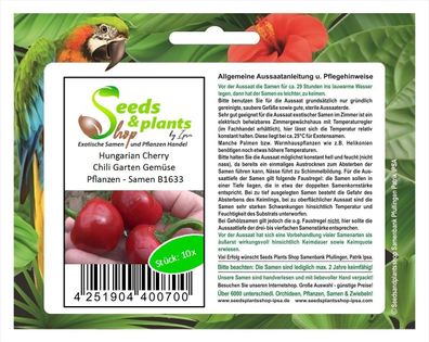 10x Hungarian Cherry Chili Garten Gemüse Pflanzen - Samen B1633