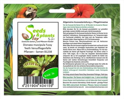 3x Dionaea muscipula Fussy Teeth Venusfliegenfalle Pflanzen - Samen B1238