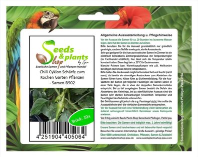 10x Chili Cyklon Schärfe zum Kochen Garten Pflanzen - Samen B902
