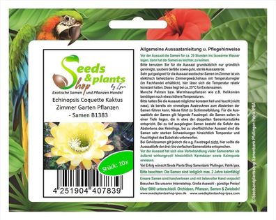 10x Echinopsis Coquette Kaktus Zimmer Garten Pflanzen - Samen B1383