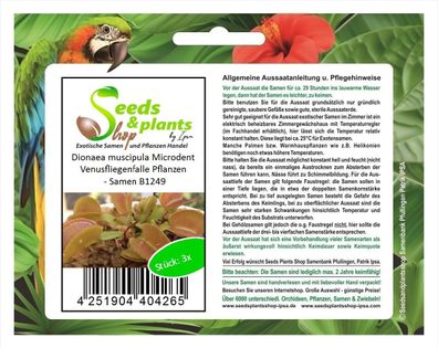 3x Dionaea muscipula Microdent Venusfliegenfalle Pflanzen - Samen B1249