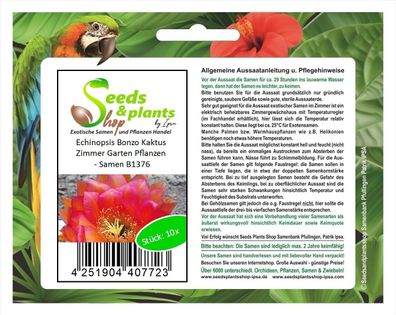 10x Echinopsis Bonzo Kaktus Zimmer Garten Pflanzen - Samen B1376