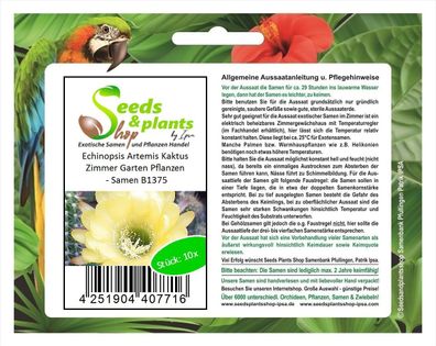 10x Echinopsis Artemis Kaktus Zimmer Garten Pflanzen - Samen B1375