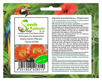 10x Echinopsis Iris Katzenstreu Kaktus Garten Pflanzen - Samen B1393