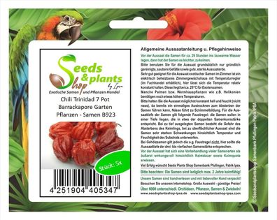 5x Chili Trinidad 7 Pot Barrackapore Garten Pflanzen - Samen B923