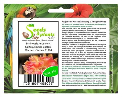 10x Echinopsis Jerusalem Kaktus Zimmer Garten Pflanzen - Samen B1394