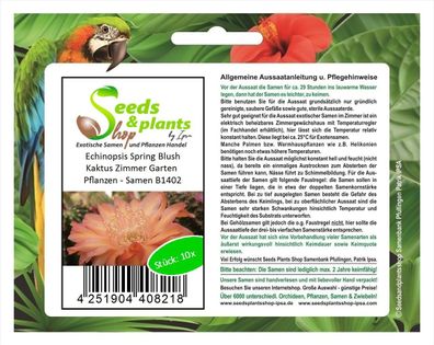 10x Echinopsis Spring Blush Kaktus Zimmer Garten Pflanzen - Samen B1402