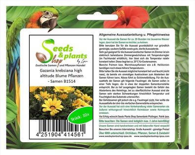 10x Gazania krebsiana high altitude Blume Pflanzen - Samen B1514