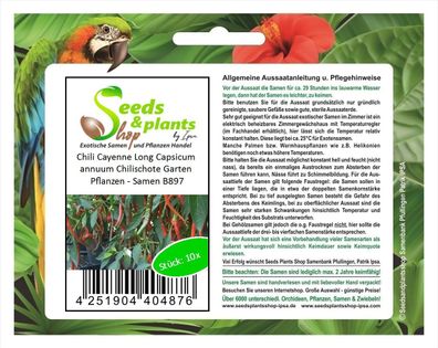 10x Chili Cayenne Long Capsicum annuum Chilischote Garten Pflanzen - Samen B897