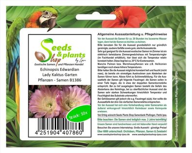 10x Echinopsis Edwardian Lady Kaktus Garten Pflanzen - Samen B1386