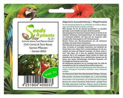 15x Chili Corno di Toro Rosso Garten Pflanzen - Samen B901