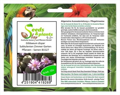 10x Gibbaeum dispar Sukkulenten Zimmer Garten Pflanzen - Samen B1527