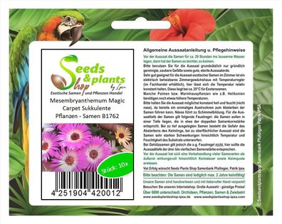 10x Mesembryanthemum Magic Carpet Sukkulente Pflanzen - Samen B1762
