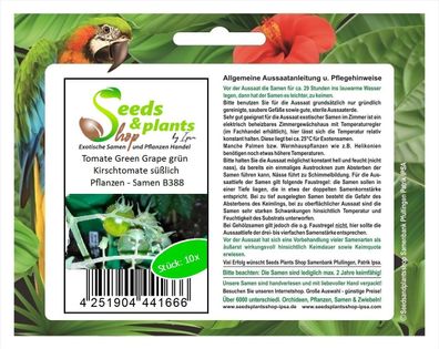 10x Tomate Green Grape grün Kirschtomate süßlich Pflanzen - Samen B388