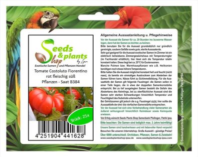 25x Tomate Costoluto Fiorentino rot fleischig süß Pflanzen - Saat B384
