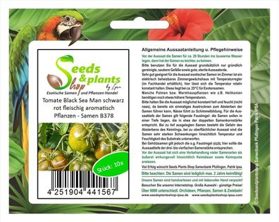 10x Tomate Black Sea Man schwarz rot fleischig aromatisch Pflanzen - Samen B378