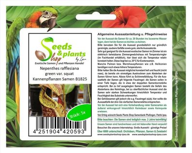 5x Kannenpflanze Fleischfressend Karnivor Pflanzen - Samen B1825