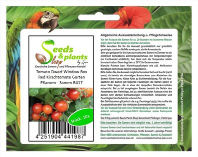 10x Tomato Dwarf Window Box Red Kirschtomate rot Pflanzen - Samen B417