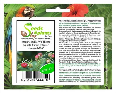 10x Fragaria indica Waldbeere Früchte Garten Pflanzen - Samen B2080
