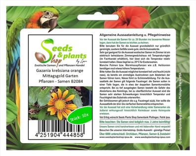 10x Gazania krebsiana orange Mittagsgold Garten Pflanzen - Samen B2084
