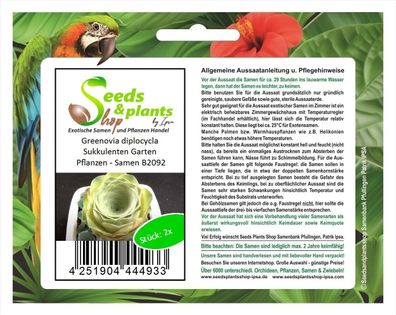2x Greenovia diplocycla Sukkulenten Garten Pflanzen - Samen B2092