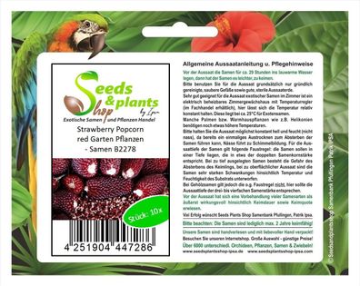 10x Strawberry Popcorn red Garten Pflanzen - Samen B2278