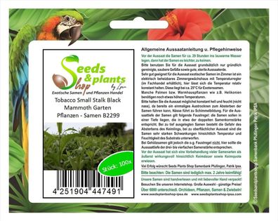 100x Tobacco Small Stalk Black Mammoth Garten Pflanzen - Samen B2299