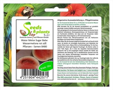 10x Water Melon Sugar Babe Wassermelone rot süß Pflanzen - Samen B480