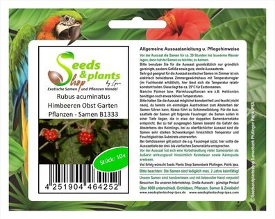 10x Rubus acuminatus Himbeeren Obst Garten Pflanzen - Samen B1333
