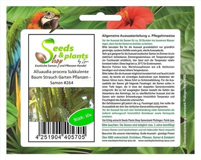 10x Alluaudia procera Sukkulente Baum Strauch Garten Pflanzen - Samen #264
