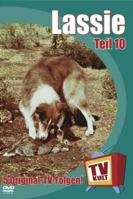 Lassie - Teil 10 (DVD] Neuware