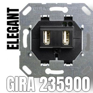 Gira USB-Steckdoseneinsatz 2-fach (235900)
