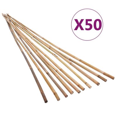 vidaXL Garten-Bambusstangen 50 Stk. 170 cm