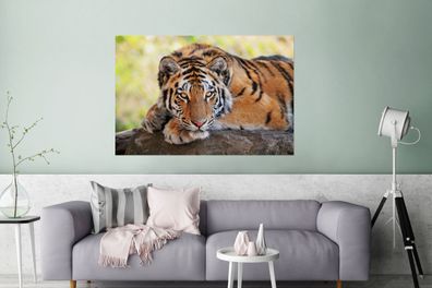 Glasbilder - 120x80 cm - Tiger - Welpe - Rüssel (Gr. 120x80 cm)
