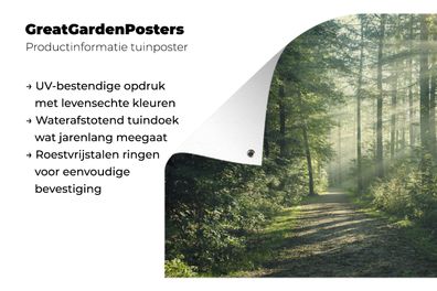 Gartenposter - 60x40 cm - Wald - Weg - Sonne (Gr. 60x40 cm)