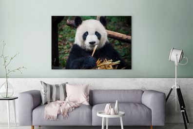 Leinwandbilder - 120x80 cm - Panda - Bambus - Natur (Gr. 120x80 cm)