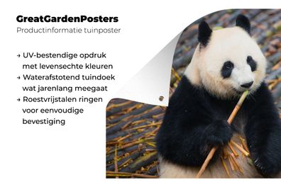 Gartenposter - 180x120 cm - Großer Panda - Bambus - Blätter (Gr. 180x120 cm)