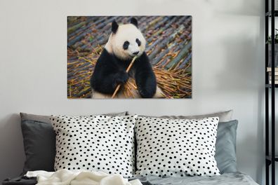 Leinwandbilder - 60x40 cm - Großer Panda - Bambus - Blätter (Gr. 60x40 cm)