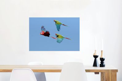 Glasbilder - 60x40 cm - Drei fliegende Aras (Gr. 60x40 cm)