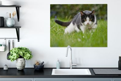 Leinwandbilder - 80x60 cm - Katze - Gras - Schwarz - Weiß (Gr. 80x60 cm)