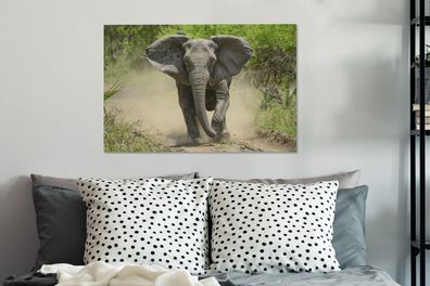 Leinwandbilder - 60x40 cm - Laufender Elefant (Gr. 60x40 cm)