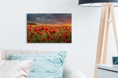 Leinwandbilder - 30x20 cm - Sonnenuntergang - Mohnblumen - Rot (Gr. 30x20 cm)