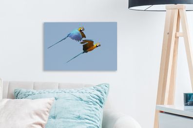 Leinwandbilder - 30x20 cm - Aras im Flug (Gr. 30x20 cm)
