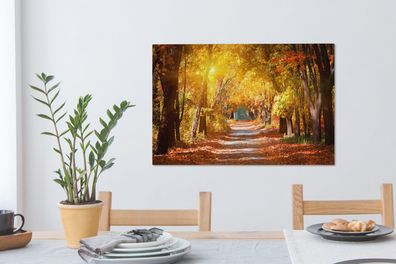 Leinwandbilder - 60x40 cm - Ein Waldweg im Herbst (Gr. 60x40 cm)