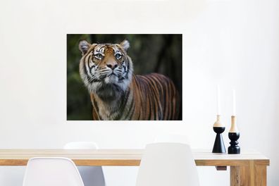 Glasbilder - 80x60 cm - Tiger - Dschungel - Mantel (Gr. 80x60 cm)