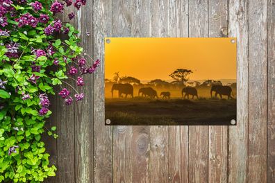 Gartenposter - 60x40 cm - Elefantenherde bei Sonnenaufgang (Gr. 60x40 cm)