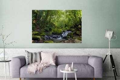 Glasbilder - 120x80 cm - Rainforest Creek (Gr. 120x80 cm)