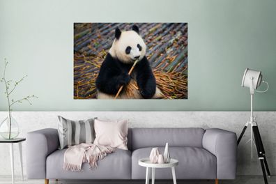 Glasbilder - 120x80 cm - Großer Panda - Bambus - Blätter (Gr. 120x80 cm)